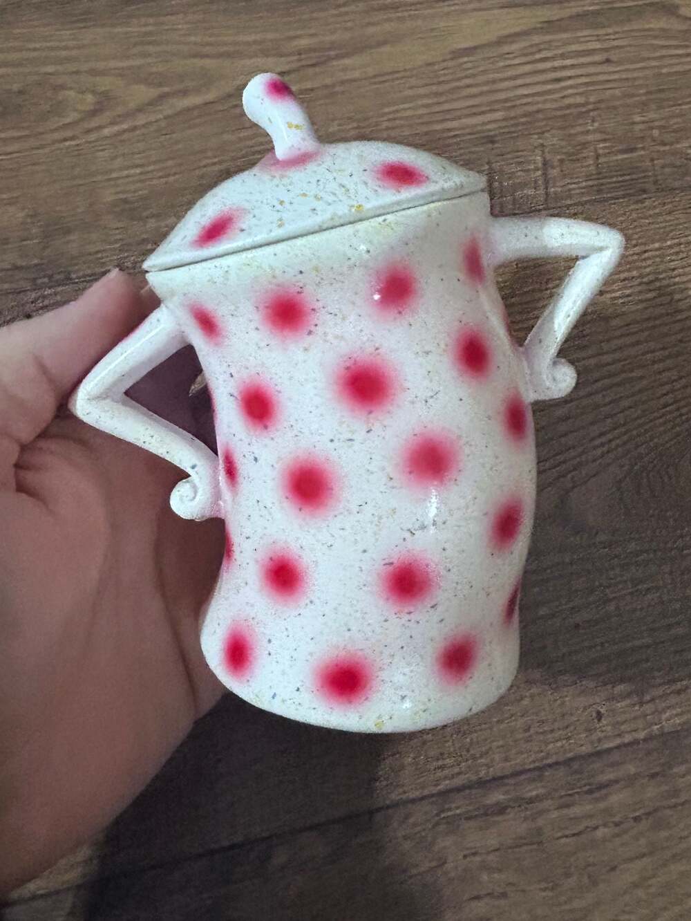 Funny Resin Canister Attitude Sassy Storage Jar & Lid.